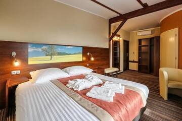 Фото номера Стандартный одноместный номер Отель Sommer Residence Hotel&amp;Spa г. Ключборк 7